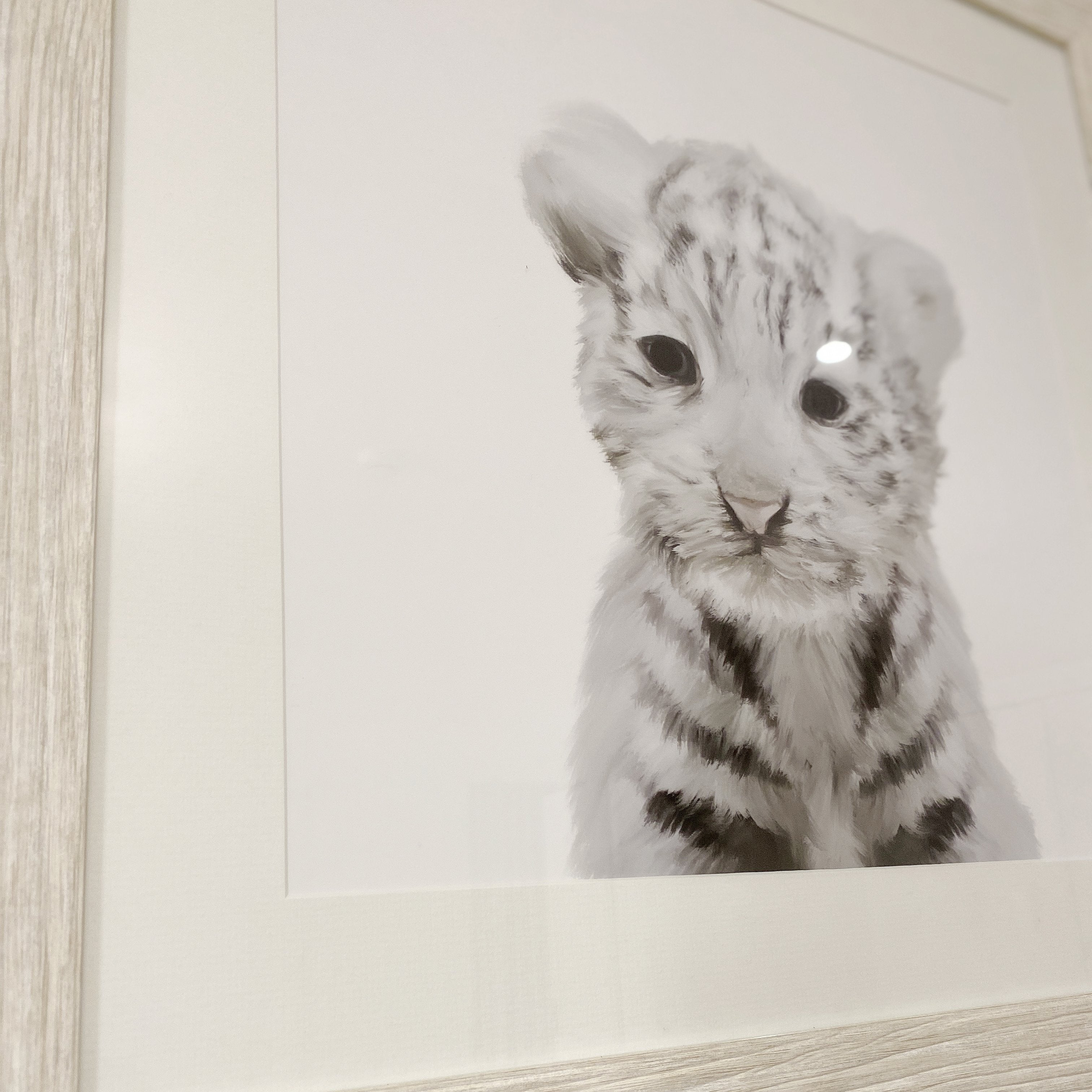 Large White Tiger Print in White Wash Wooden Frame - 80 x 80cm Art