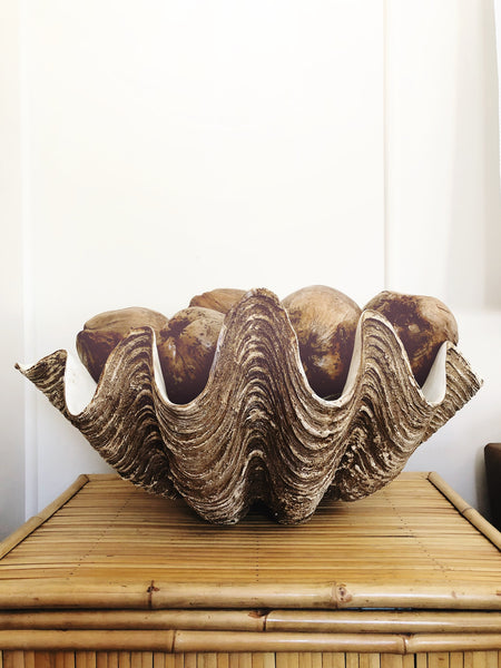 fake giant clam shell