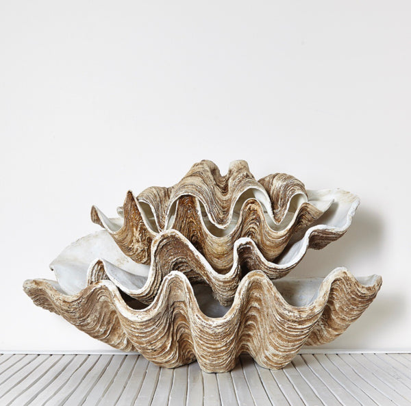 giant clam shell resin