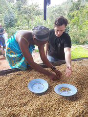 Green coffee bean sorting in Bumbogo, Rwanda