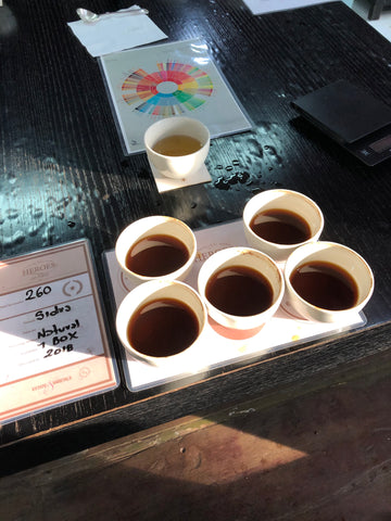 Cupping coffees, La Palma y El Tucan coffee farms 