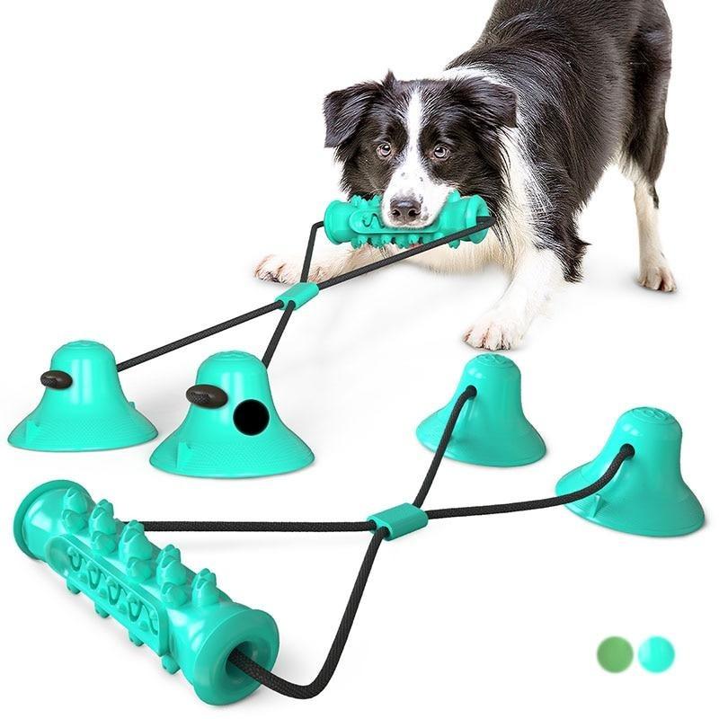 floor suction dog toy