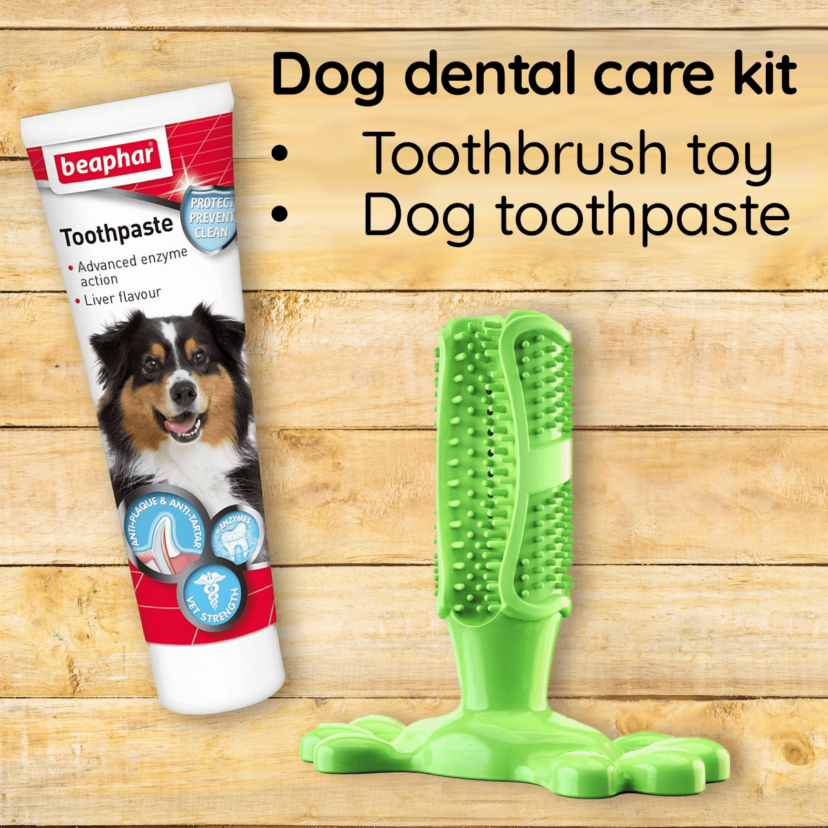 dog dental toy
