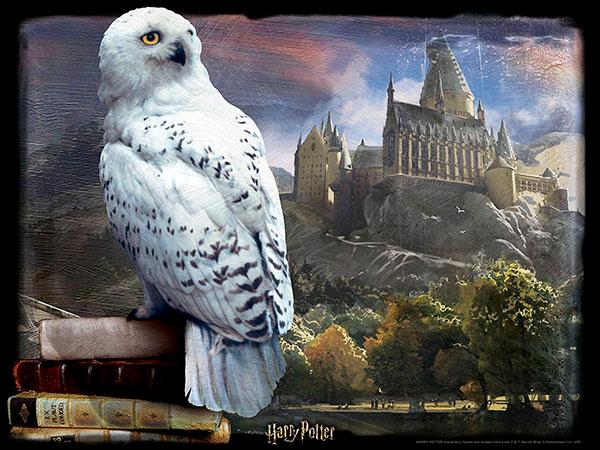 Lenticular 3D Puzzle: Harry Potter Hedwig - 4DPuzz - 4DPuzz
