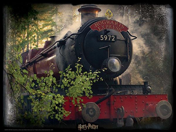 Lenticular 3D Puzzle: Harry Potter Hogwarts Express - 4DPuzz - 4DPuzz

