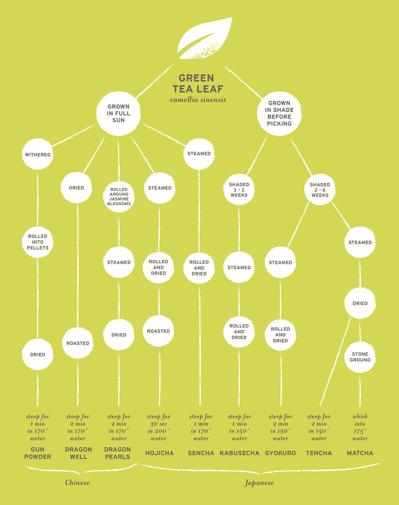 GREEN TEA TYPES