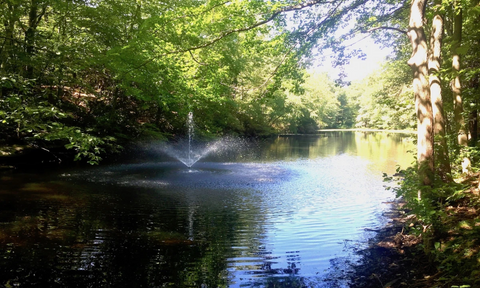 Floating Pond Fountains for Sale