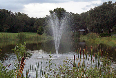 Fawn Lake Fountains