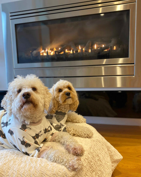Dogs sitting near to a fireplace