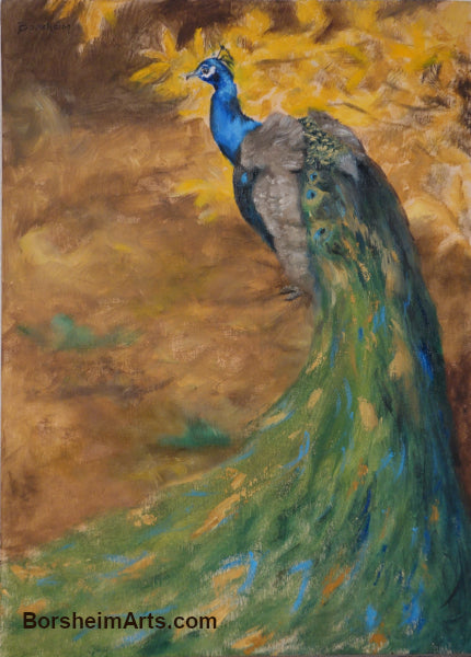 Peacock, Study of Oil on canvas board blue and yellow contrast against autumn leaves