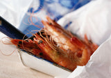 shrimp are coated with chemicals