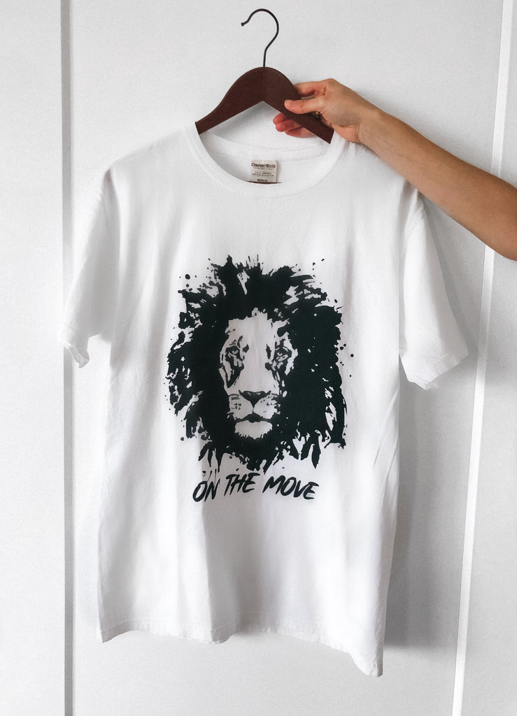 aslan the lion t