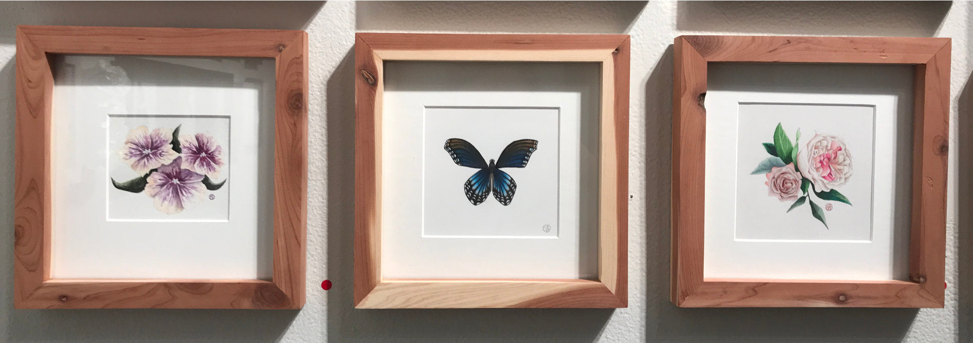 framed artworks of butterfly and flowers