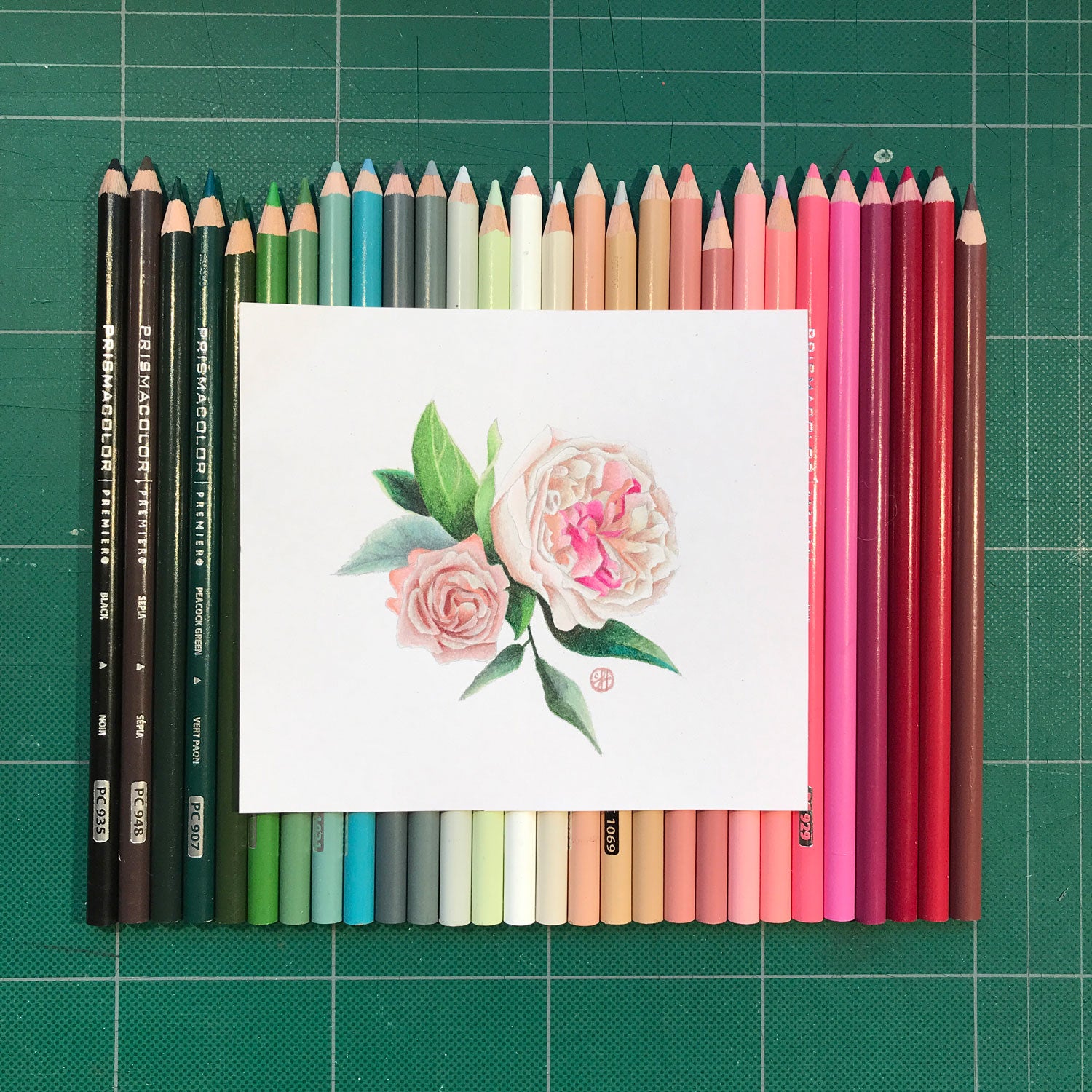 roses drawing