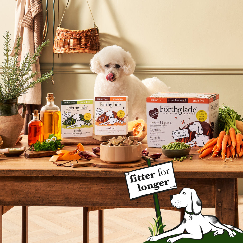 a very good senior grain free dog food