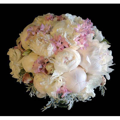 white peonies pale pink hyacinth bridal posy
