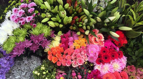 wholesale flowers christchurch