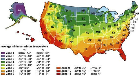 Plant Growing Zones