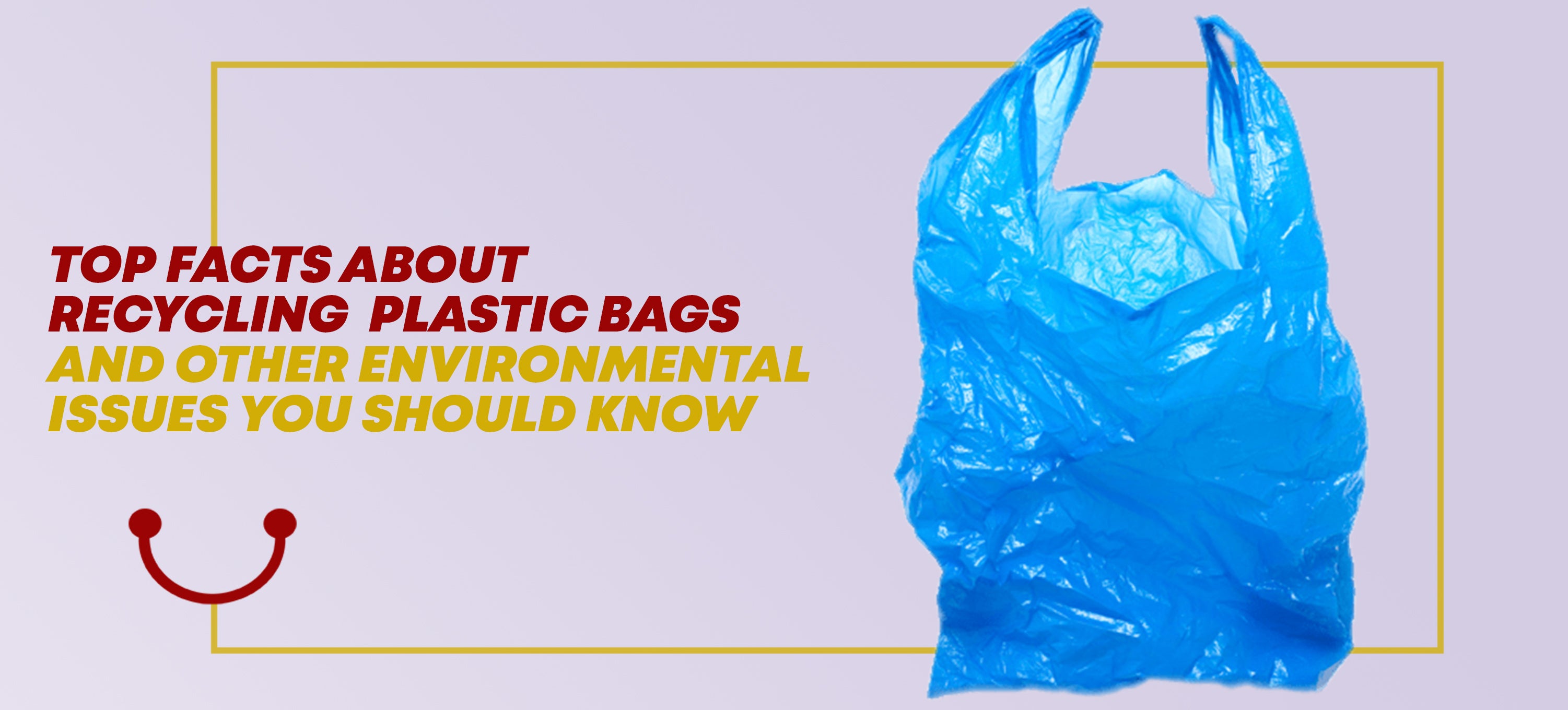 The Environmental Impact of ZipLoc Bags