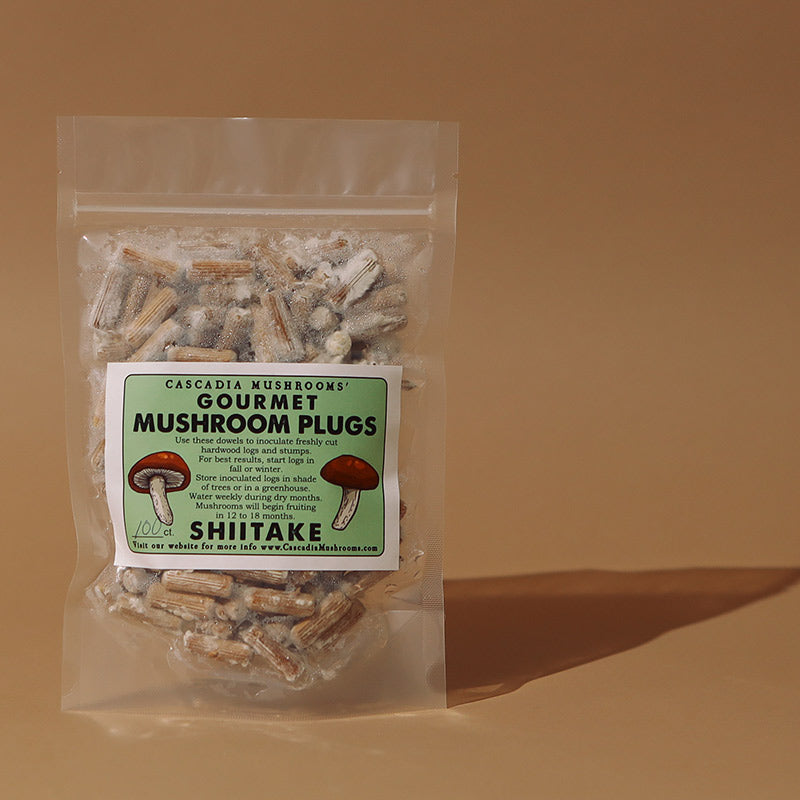 100+ Organic Shiitake mushroom Plugs for log inoculation US Seller!!! 