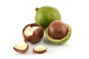 Cream ingredient macadamia nut