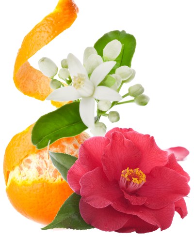neroli orange and rose essential oils remove wrinkles and fine lines