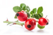 Cream ingredient rosehip seed