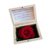 Eternal Roses (Small)