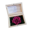 Eternal Roses (Small)