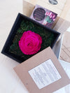 Eternal Rose XL Fuchsia Pink