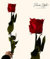 Long Stemmed Red Eternal Rose