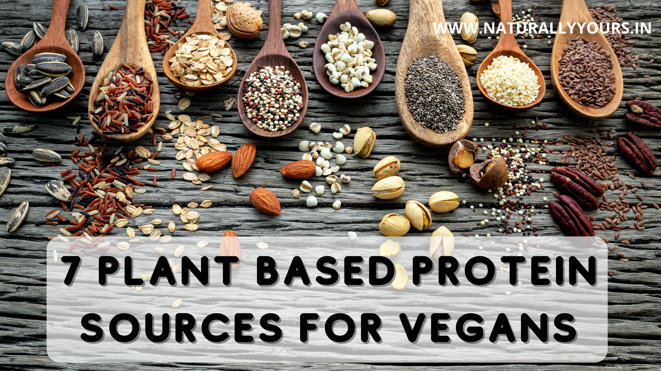 Top sources plant based proteins vegans – Naturally Yours