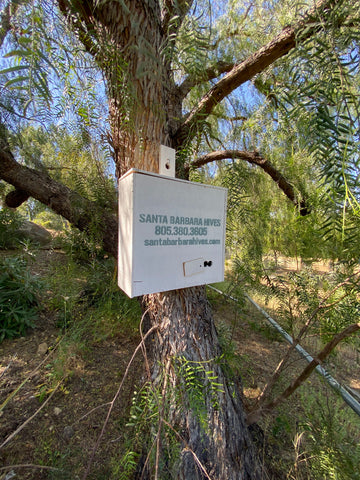 Santa Barbara Hives Swarm Box in Santa Ynez