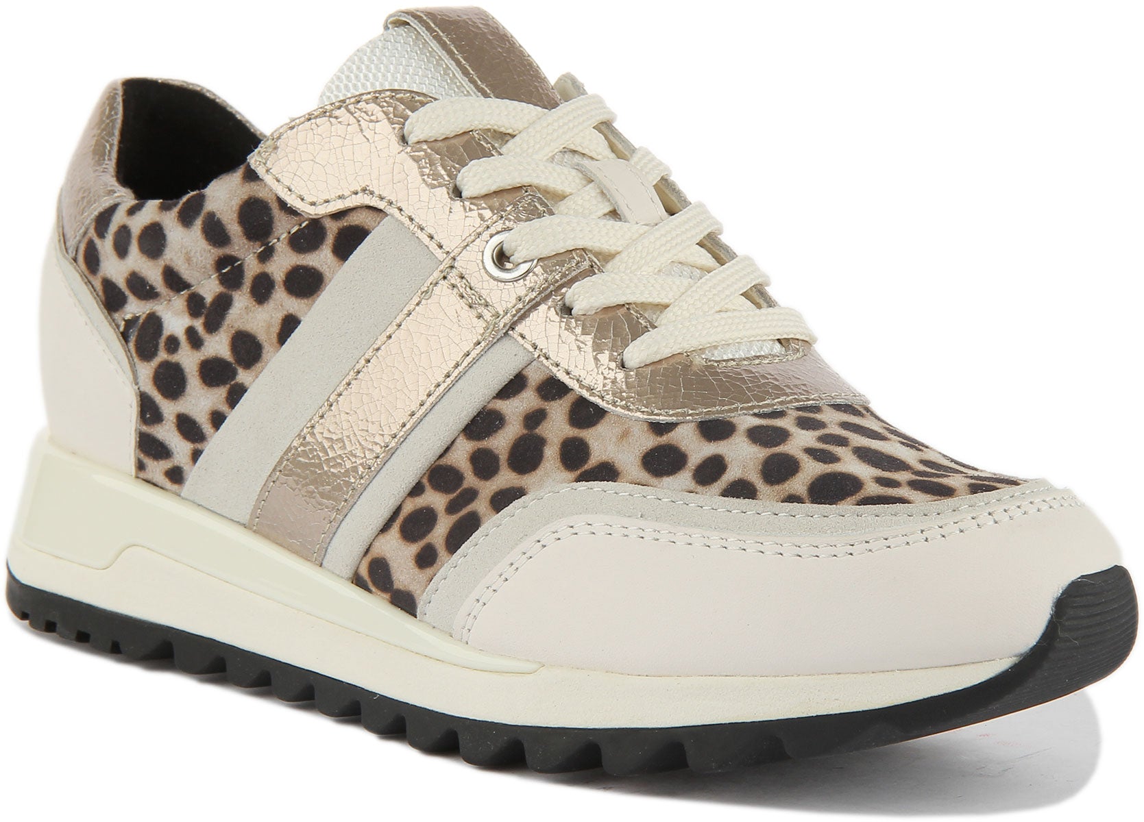 Tarjeta postal Marcado Salón Geox D Tabelya Shoes In Beige | Womens Lace up Leopard Trainers – 4feetshoes