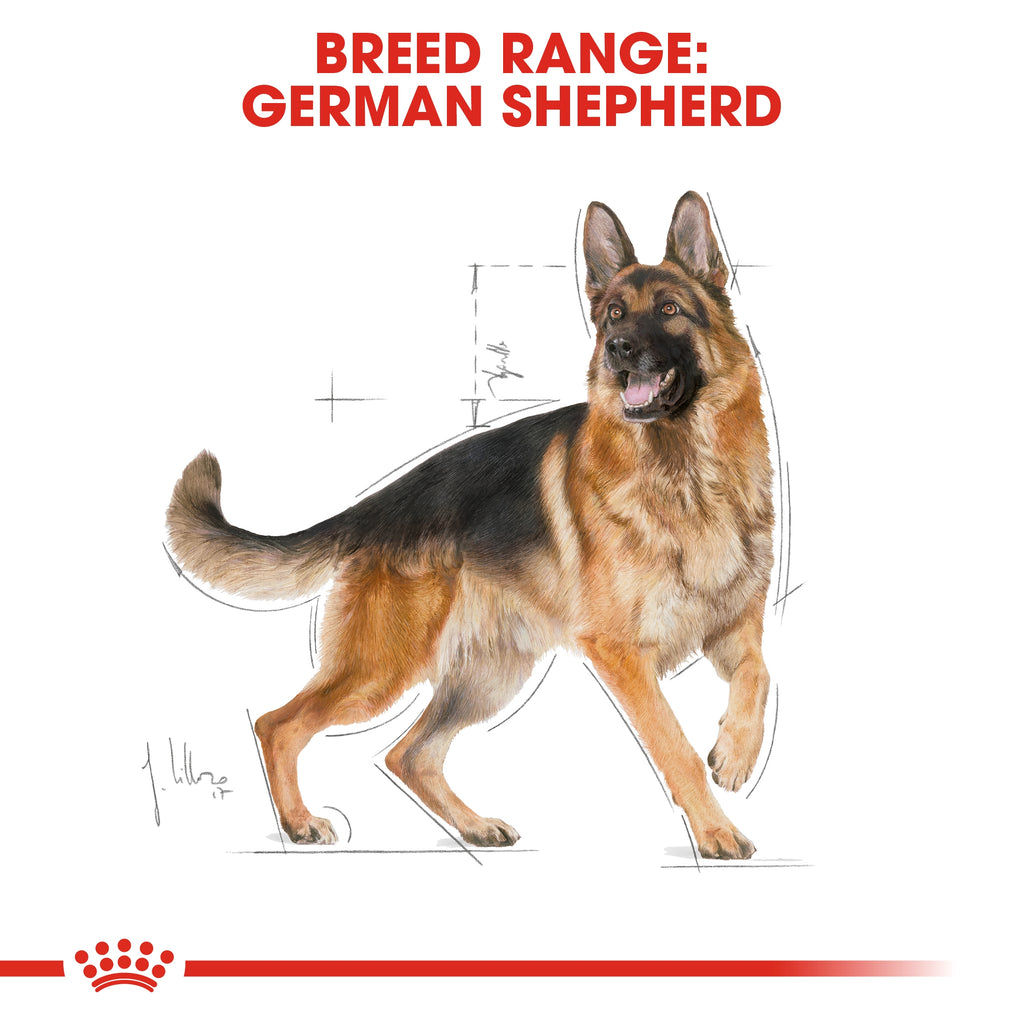 royal canin german shepherd 11kg
