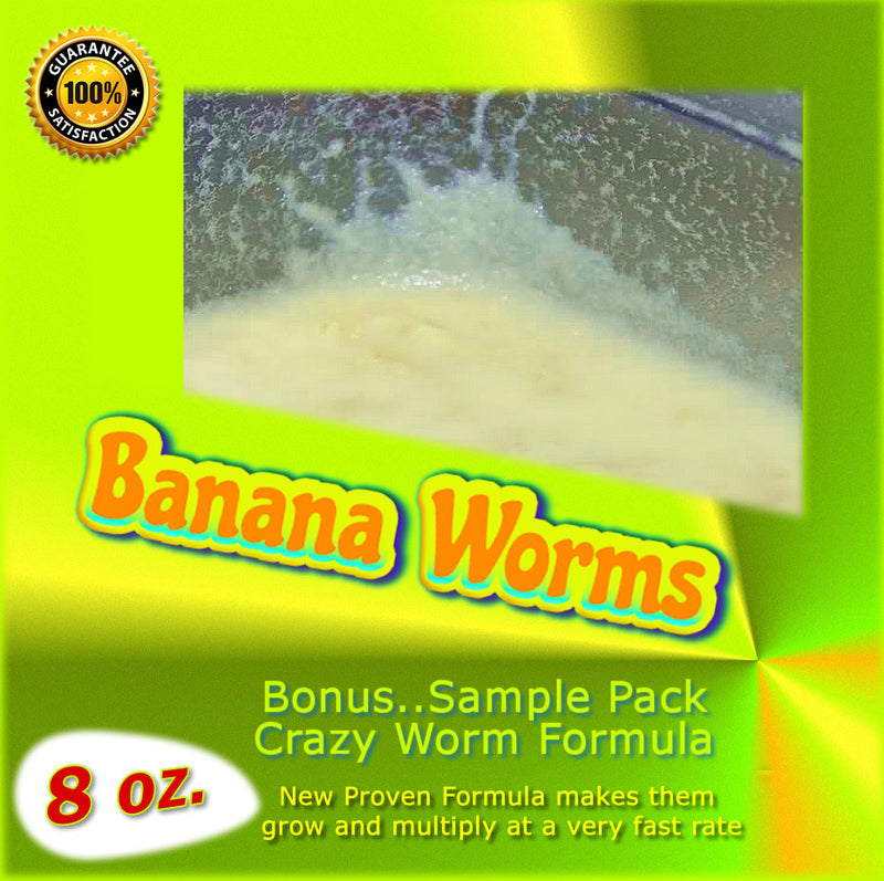 Banana Worms (Large Producing Cultures) 8 oz. – Insect Sales.com