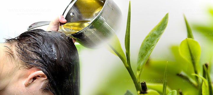 Green Tea For Hair care