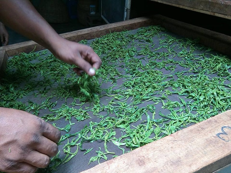 Handcrafted Tea Making at Kanoka