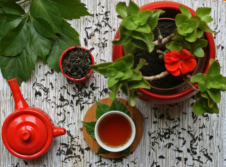 Kanoka Organic Tea - Assam Orthodox