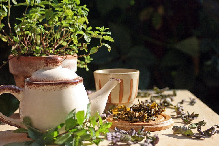 Mint Green Exposure - Organic Green Tea with Mint