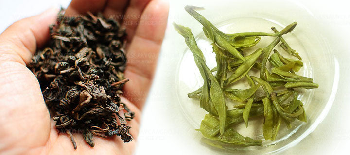 Whole Leaf Green Tea - Loose