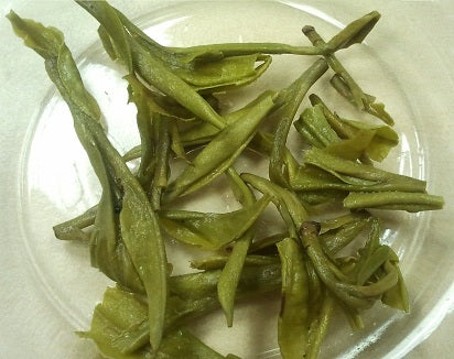 Brewed Green Tea Leaves