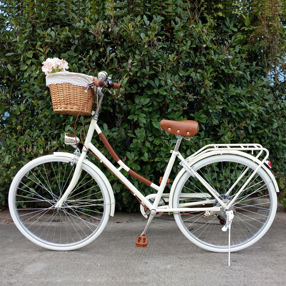 commuter bike with basket