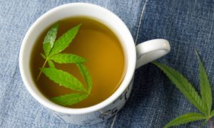 Cup of hemp tea