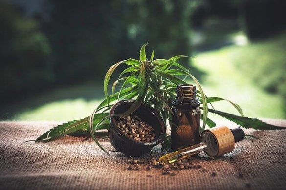 CBD oil products