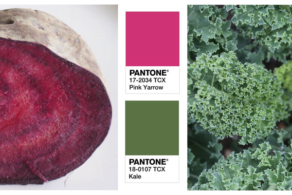 kale pink 