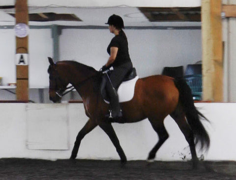 And later in the same lesson in one of my Vogue dressage saddles, and with a Pelham bit on Libby. Being able to sit in the classical seat with ease, and with the Pelham correctly used to ask Libby to relax her jaw, the picture is so different, that it could be of another horse and rider.