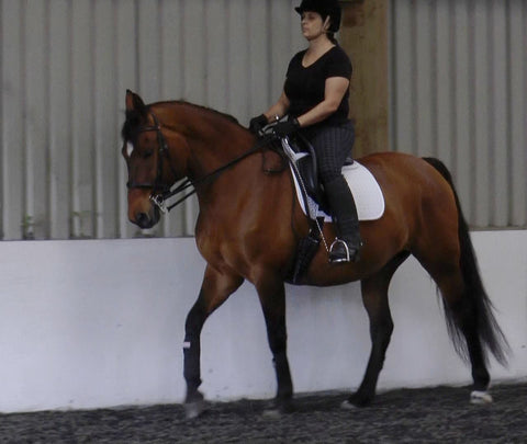 And later in the same lesson in one of my Vogue dressage saddles, and with a Pelham bit on Libby. Being able to sit in the classical seat with ease, and with the Pelham correctly used to ask Libby to relax her jaw, the picture is so different, that it could be of another horse and rider.