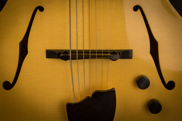 Bucky Pizzarelli arch top guitar