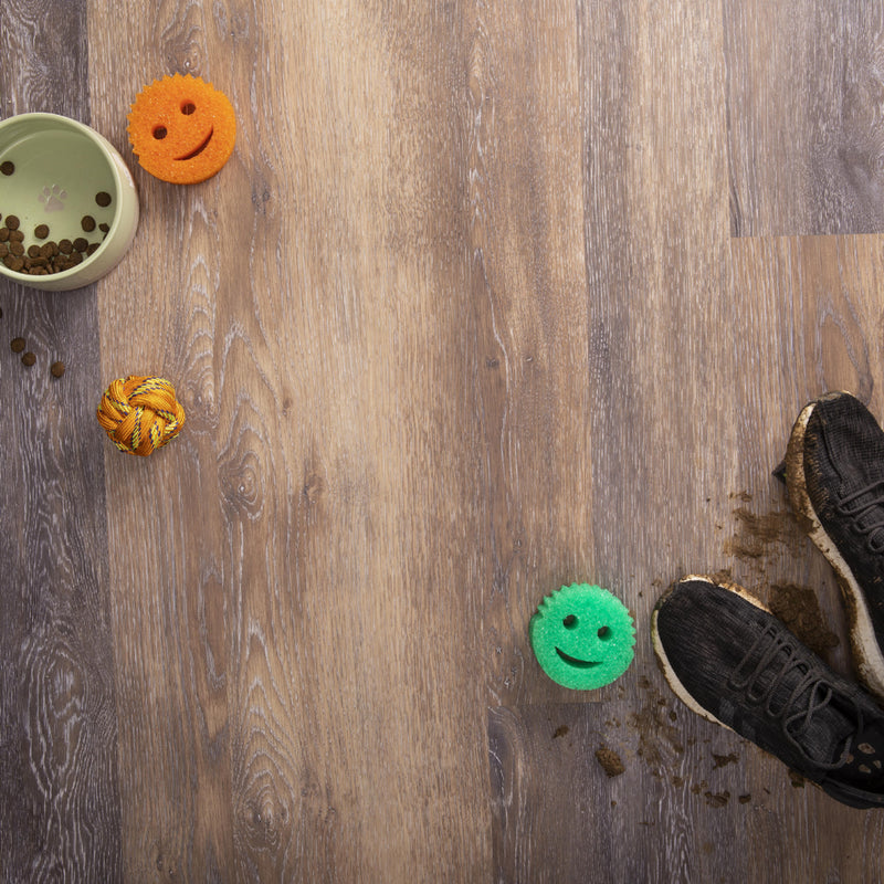 Scrub Daddy Colours (6 Pack)